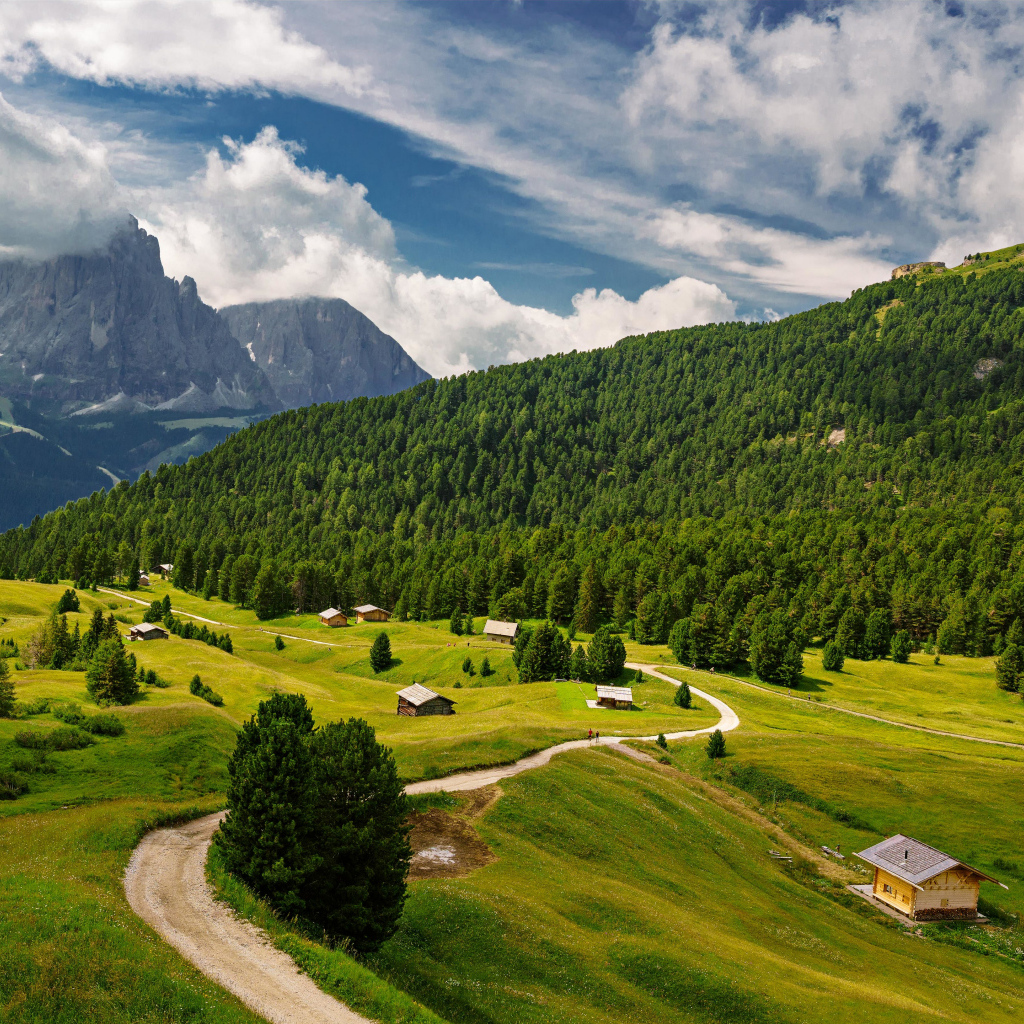 View of the forest and the alps under white clouds, Italy