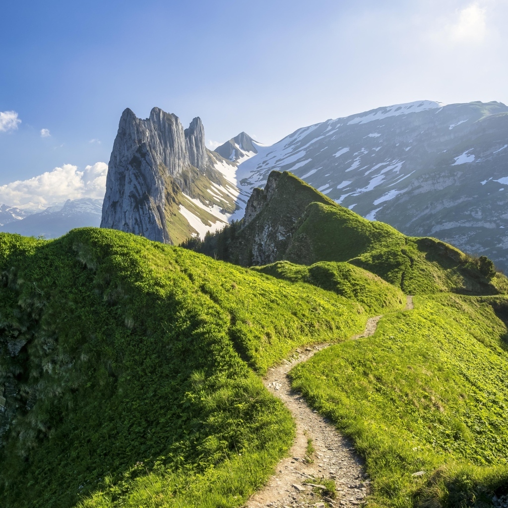 Красивый вид на покрытые зеленью Швейцарские Альпы