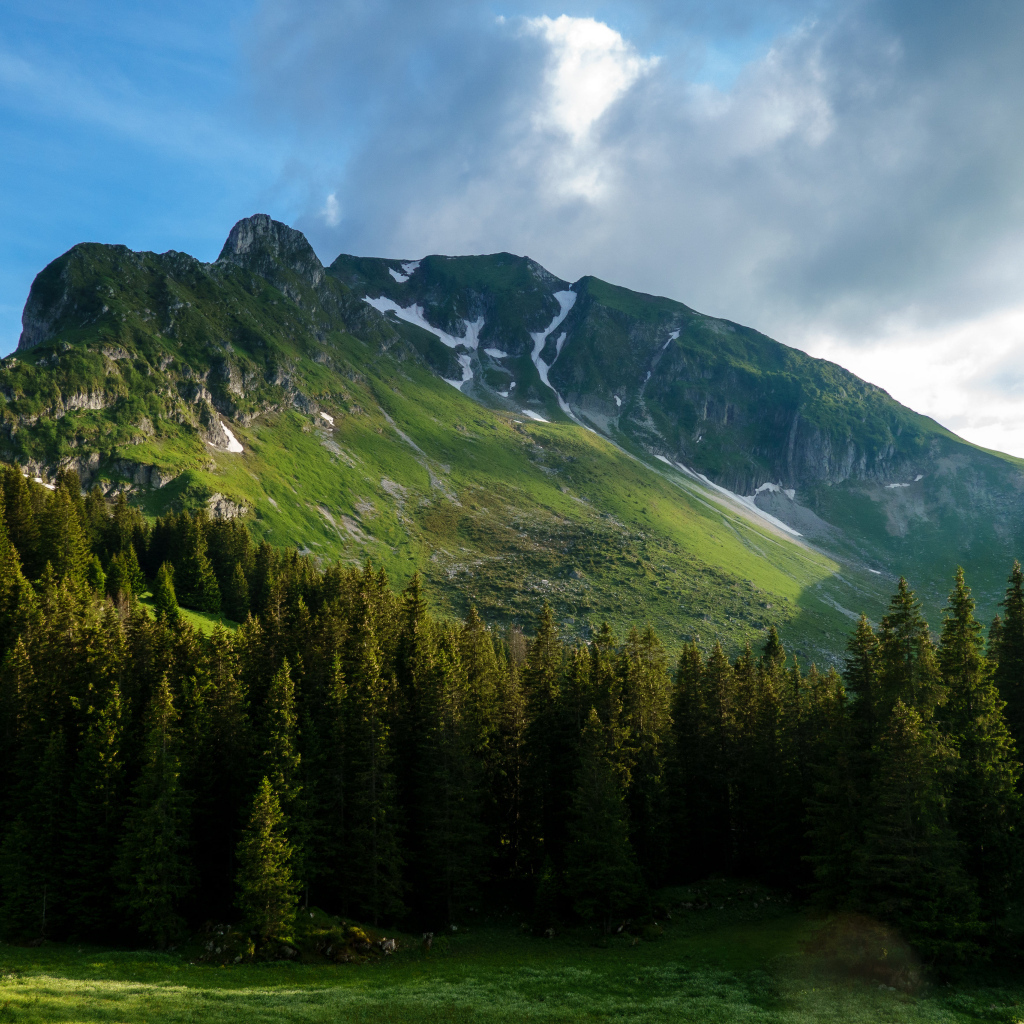 Вид на покрытые растительностью Альпы, Швейцария