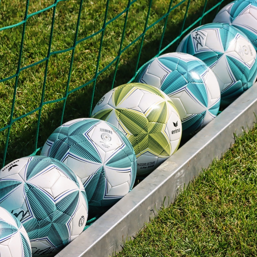 Футбольные мячи лежат у сетки на траве