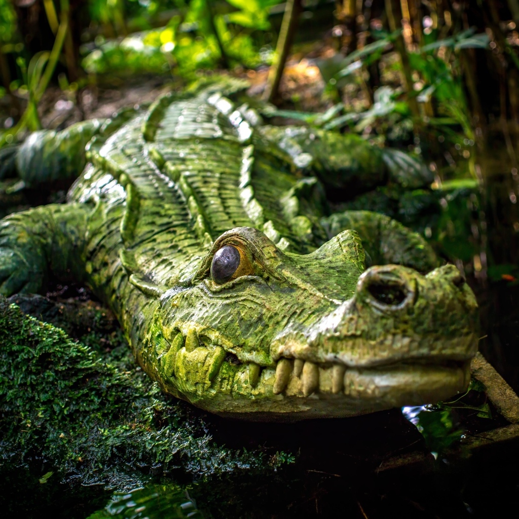 Большой зеленый крокодил у воды