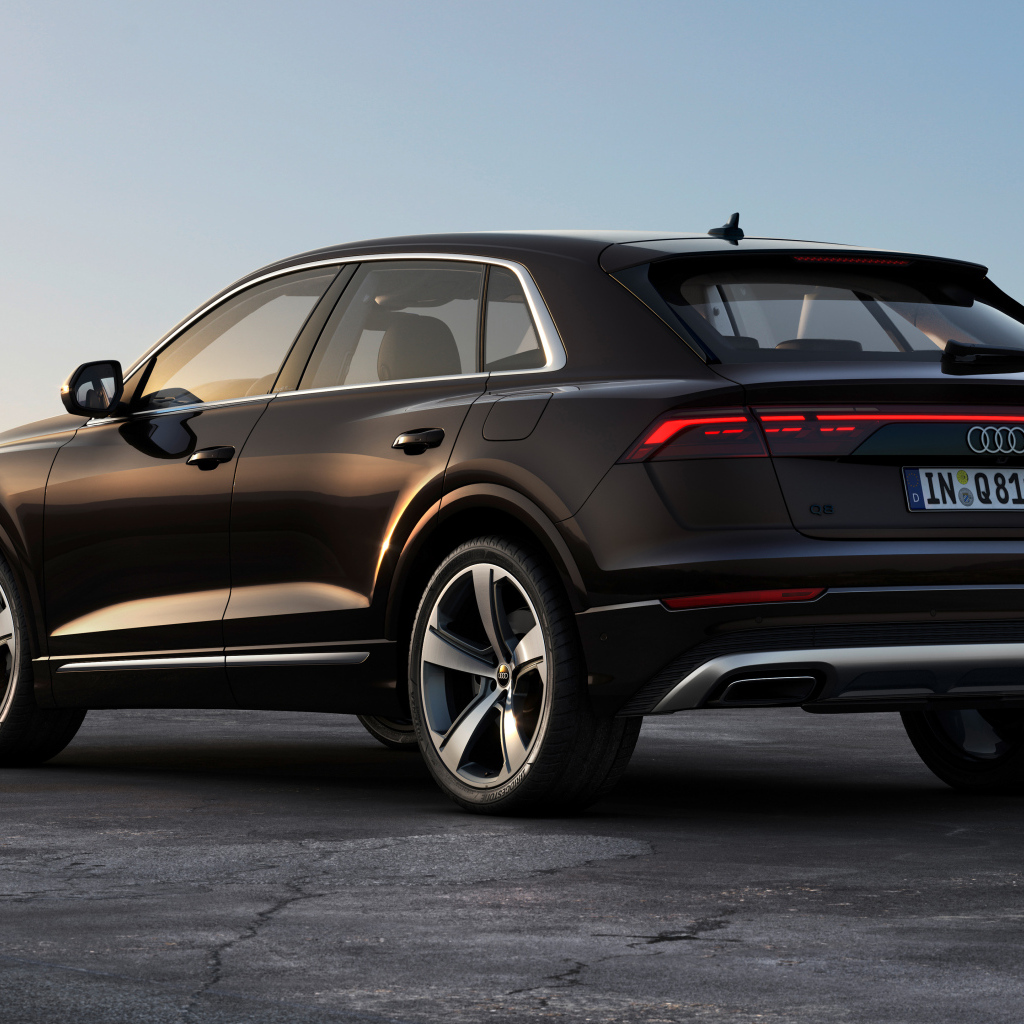 Вид сзади на черный автомобиль Audi Q8 55 TFSI E Quattro 2024 года