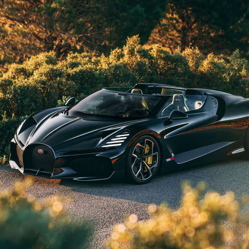 Черный быстрый автомобиль Bugatti W16 Mistral