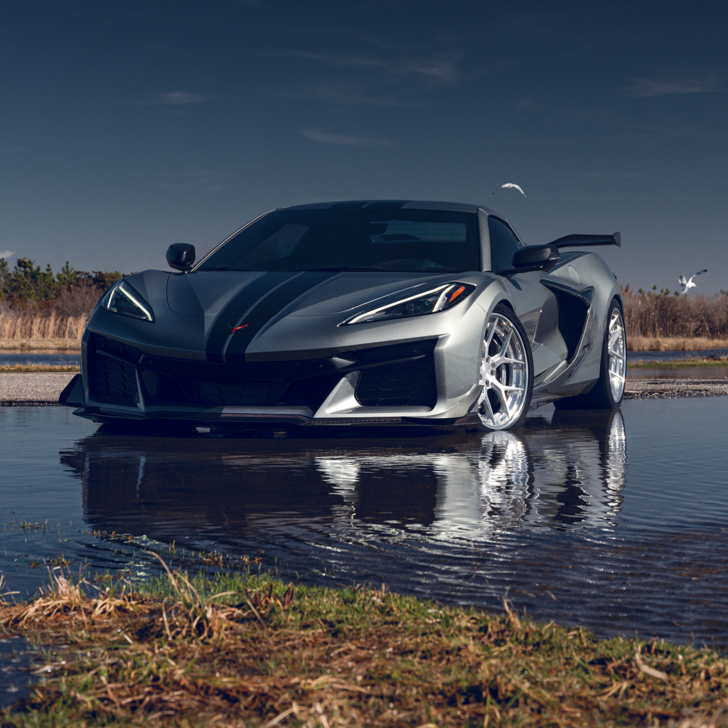 Серебристый Chevy Corvette Z06 стоит в воде