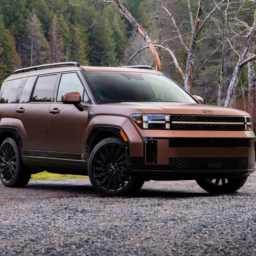 Внедорожник Hyundai Santa Fe Calligraphy 2024 года