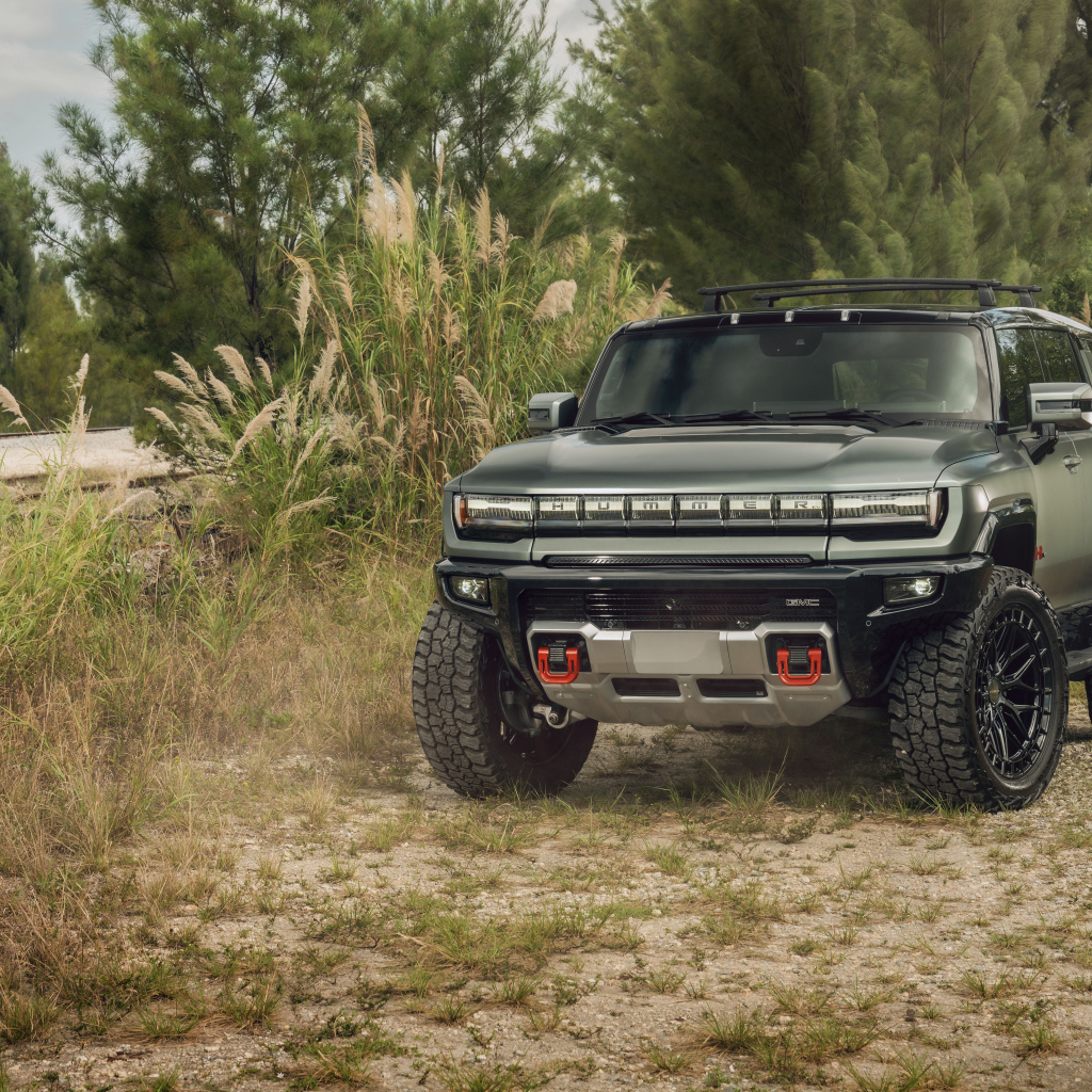 Пикап Hummer EV в зарослях