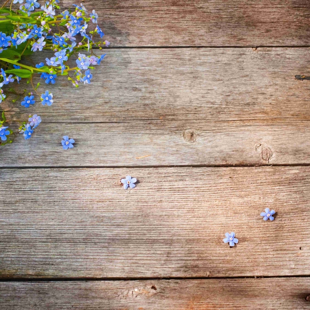 Голубые цветы незабудки на деревянном фоне