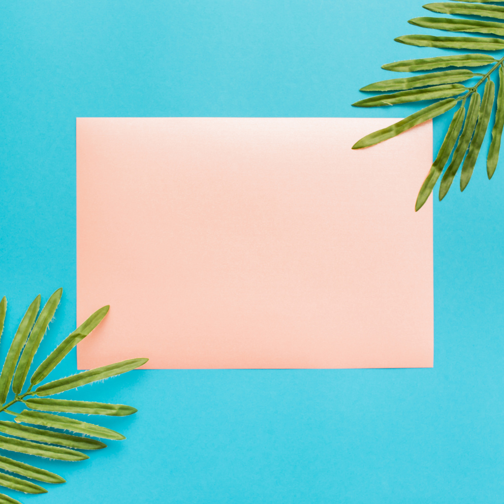 Лист бумаги и два зеленых листа на голубом фоне