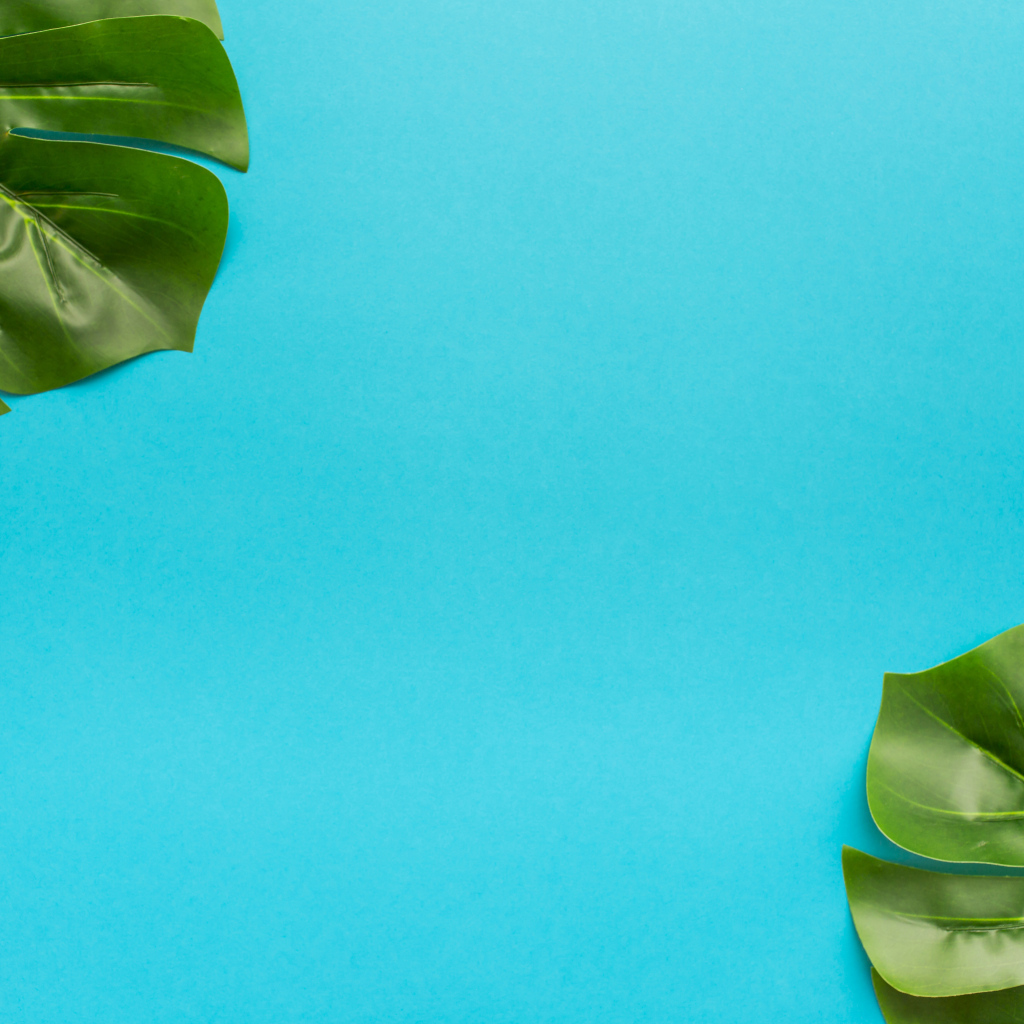 Два зеленых листа на голубом фоне