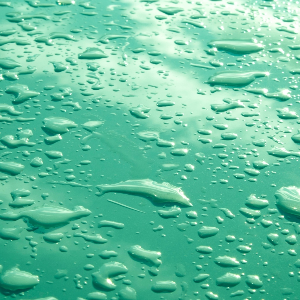 Капли воды на зеленом фоне