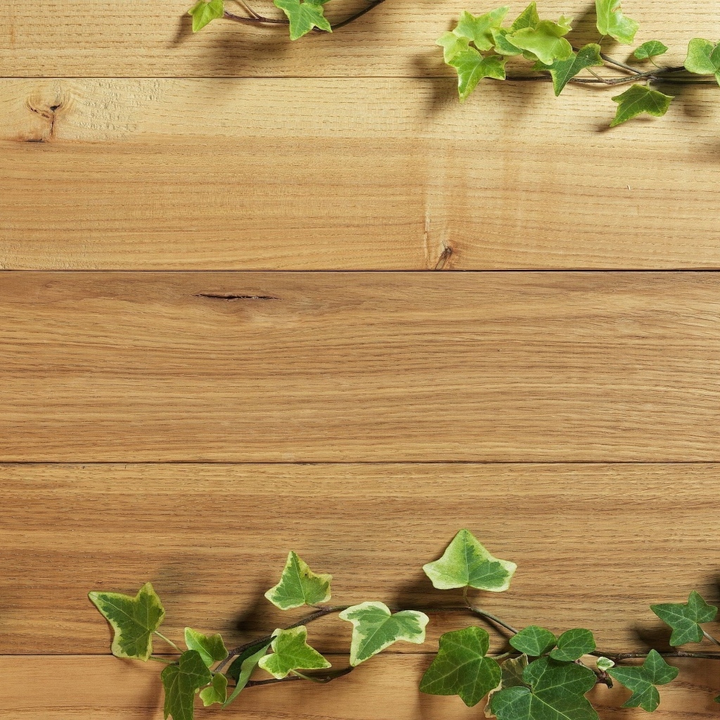 Деревянный фон с листьями плюща