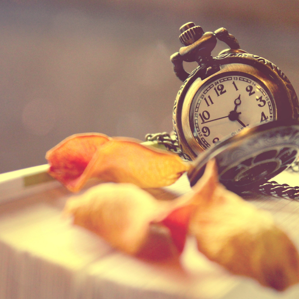 Старые карманные часы с сухими листьями лежат на книге