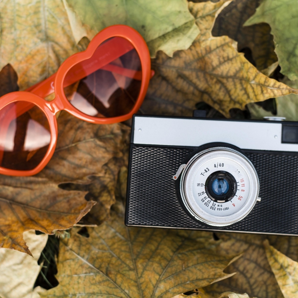 Фотоаппарат с очками на опавшей листве