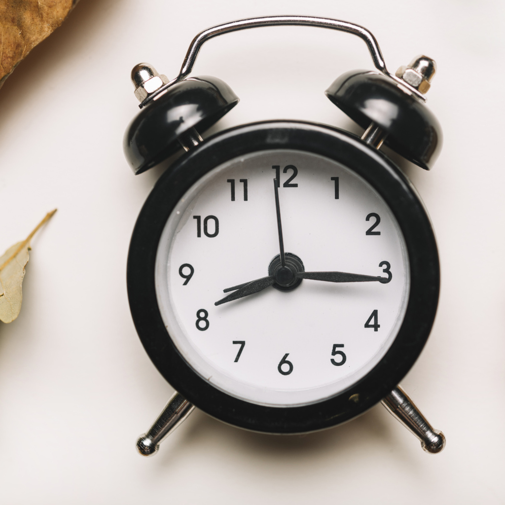 Большой черный будильник на белом фоне с листвой