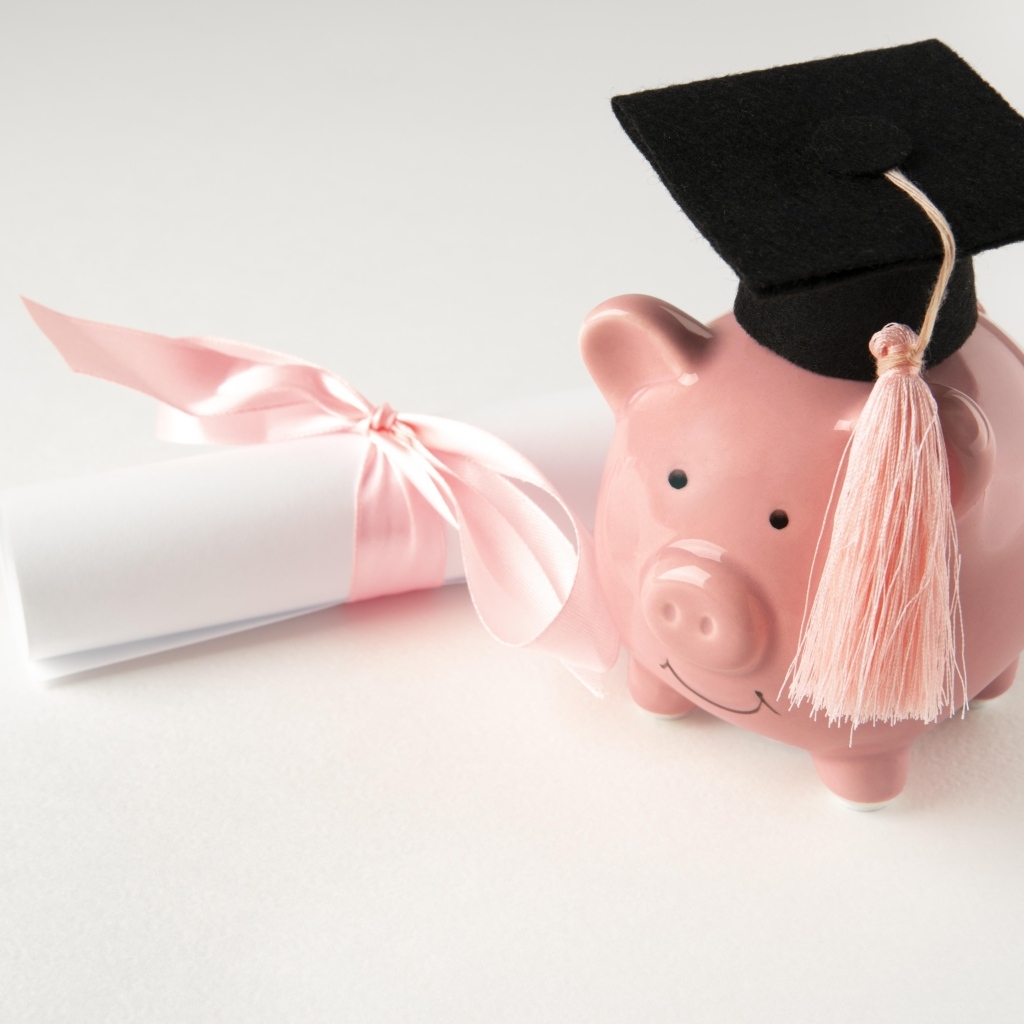 Свинья копилка с бумажным свертком на сером фоне