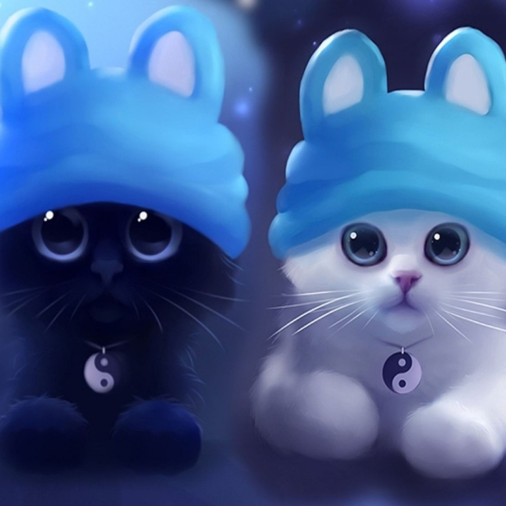 Два котенка инь и янь в шапках