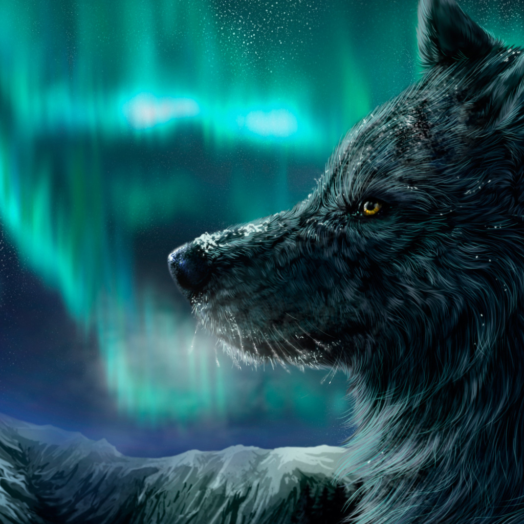 Черный фантастический волк на фоне полярного сияния