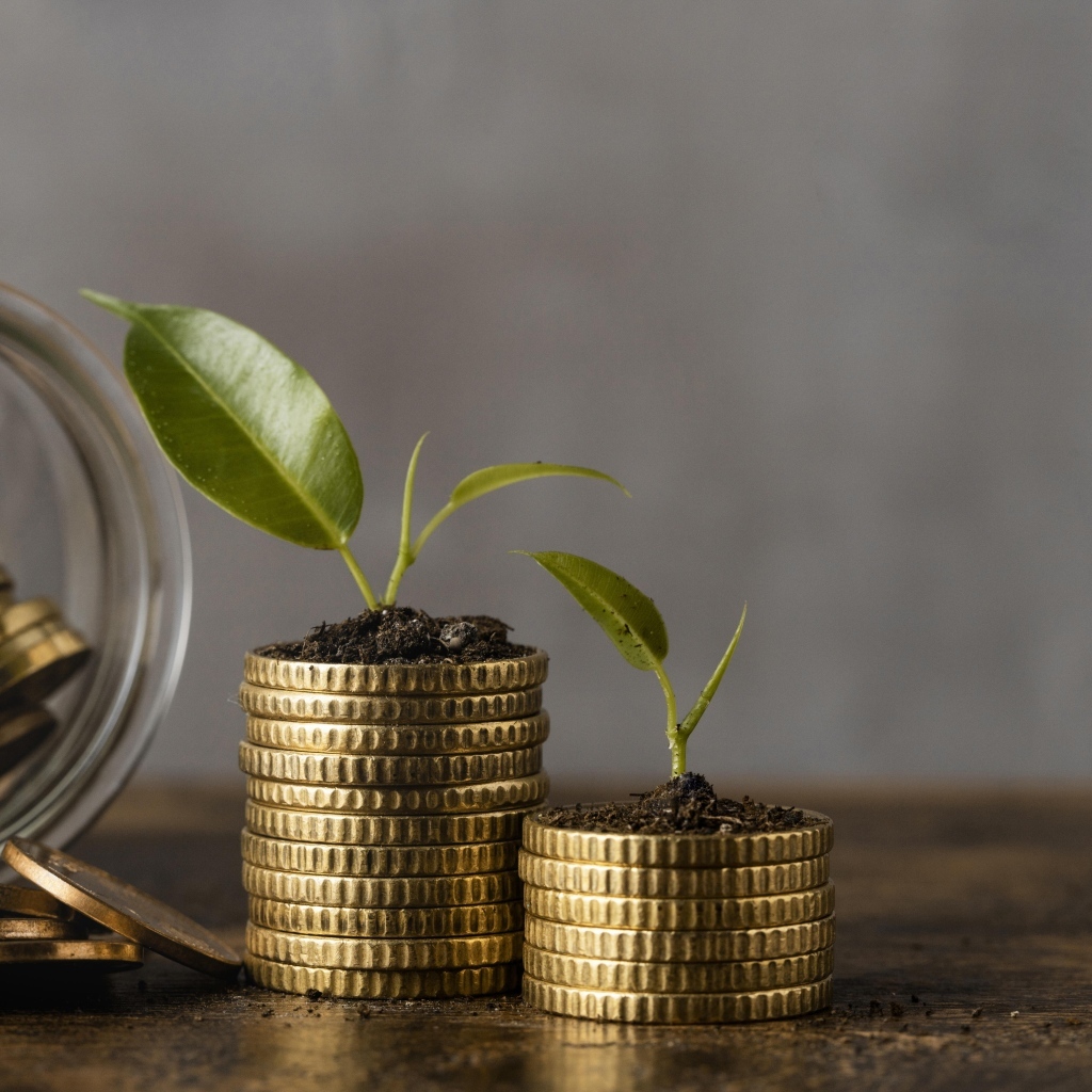 Зеленые ростки с золотыми монетами на столе