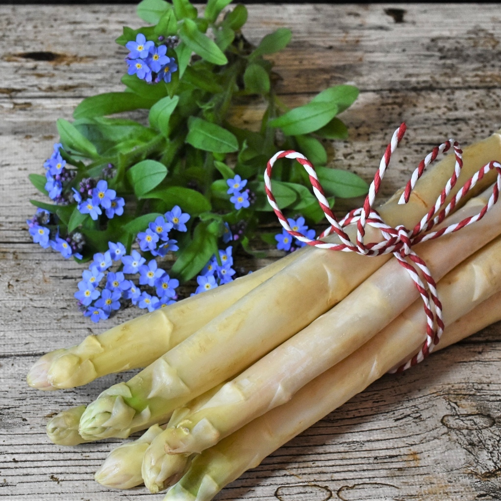 Спаржа на столе с цветами незабудки