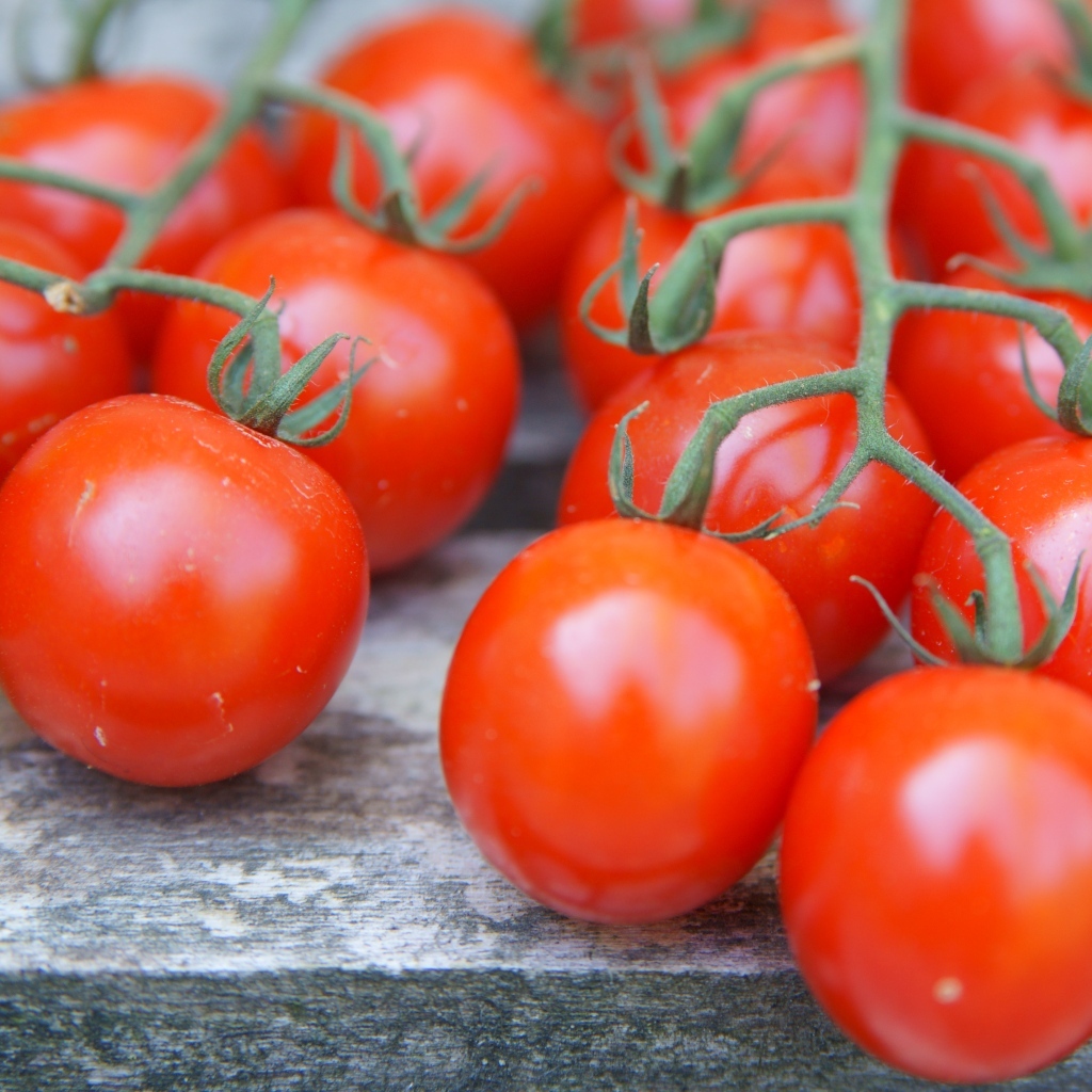 Веточки с красными помидорами на столе