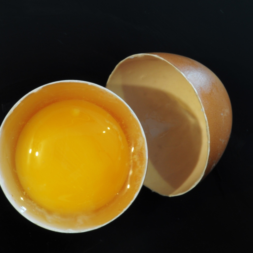 Разбитое яйцо с желтком на черном фоне