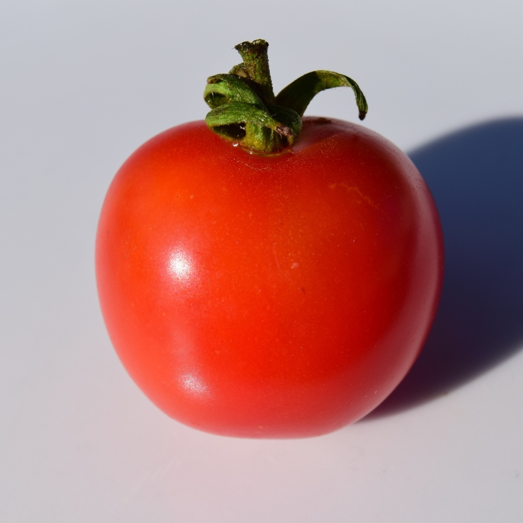 Большой красный помидор на сером фоне