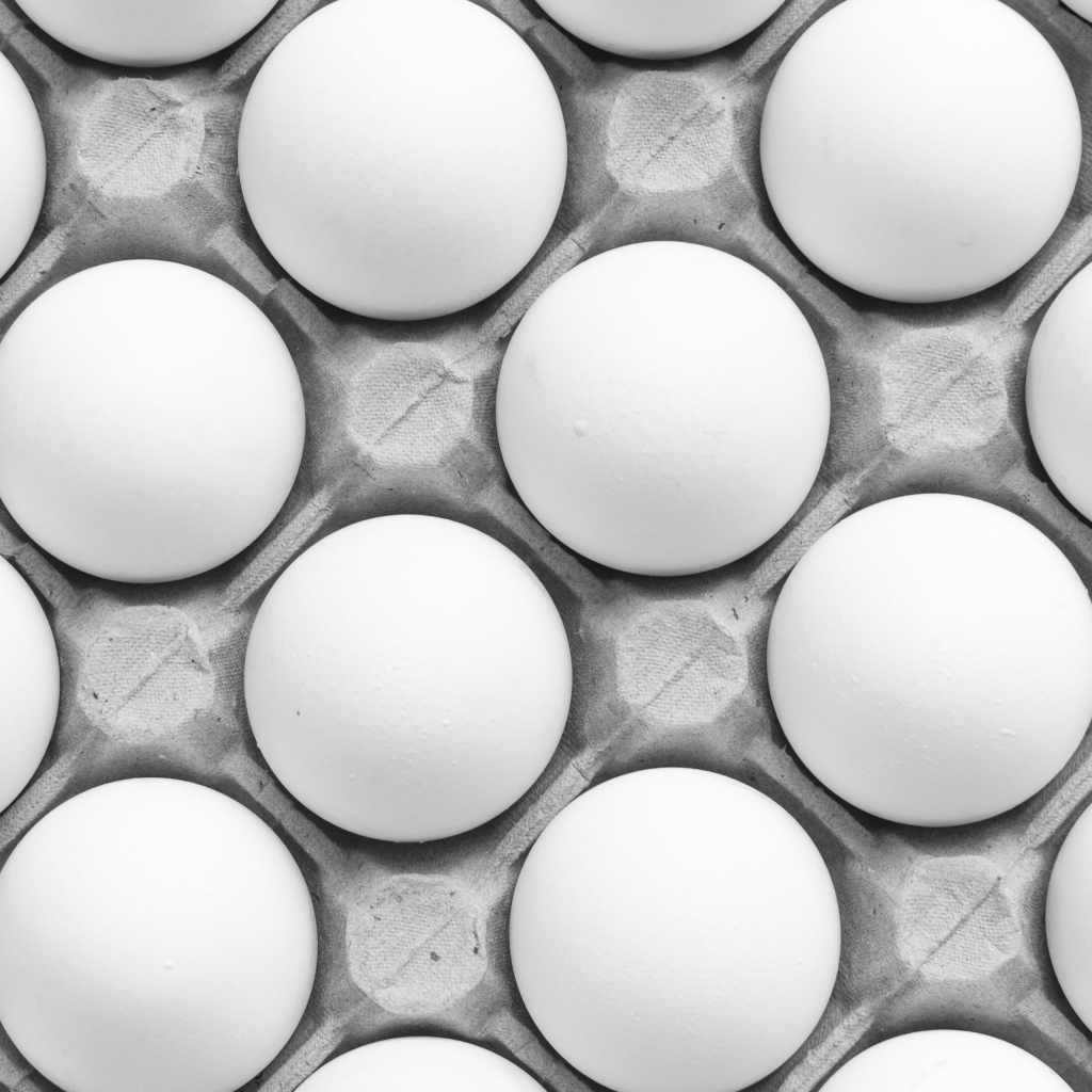 Много белых яиц в подставке на столе