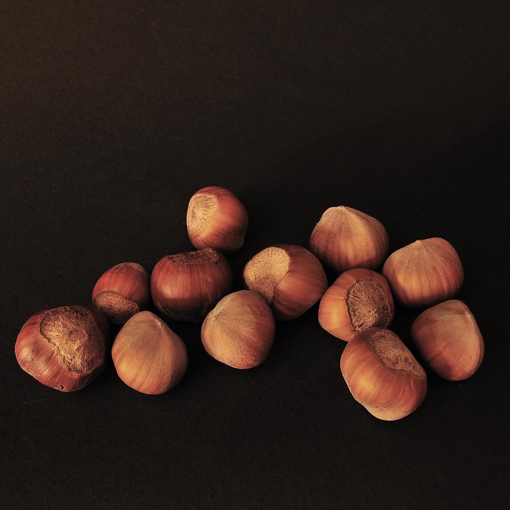 Орехи фундук на черном фоне