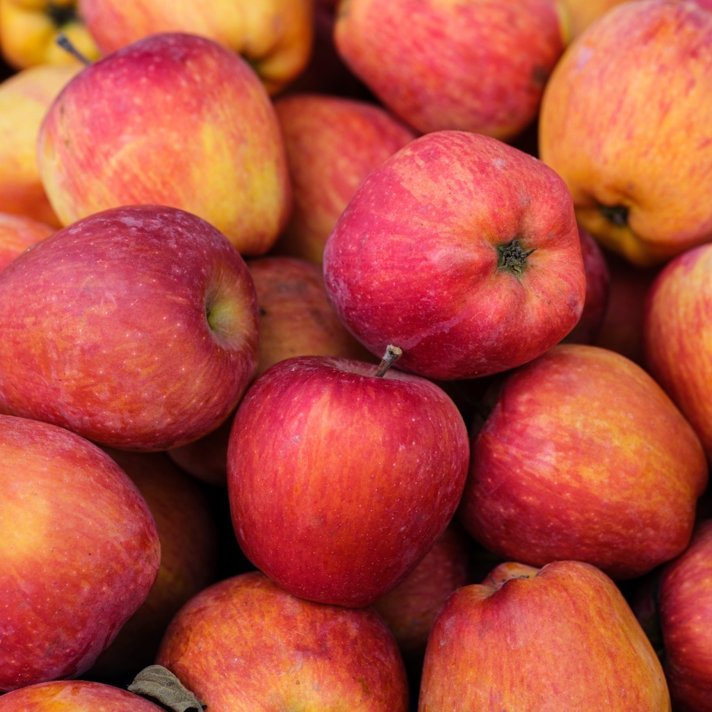 Крупные красные яблоки вблизи