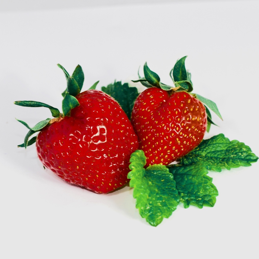 Красная клубника с листьями мяты на сером фоне