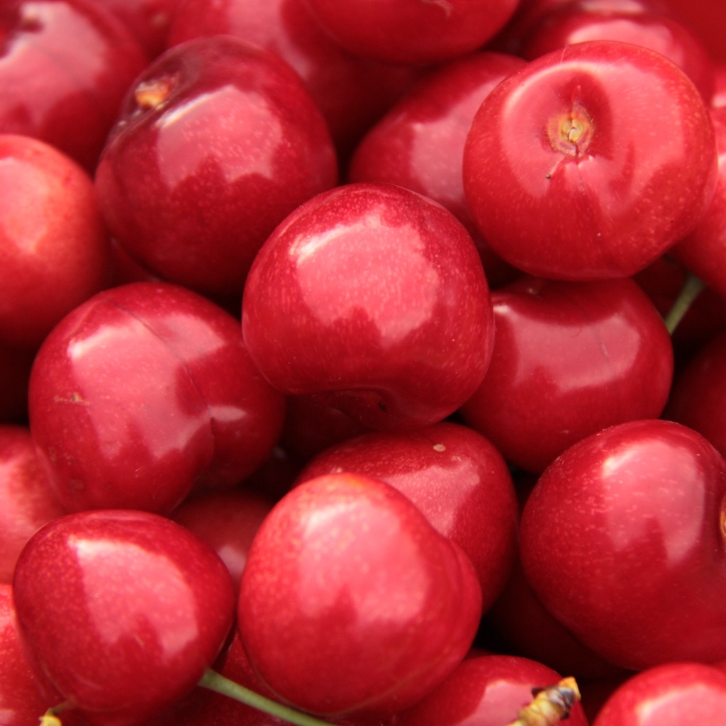 Спелые красные черешни крупным планом