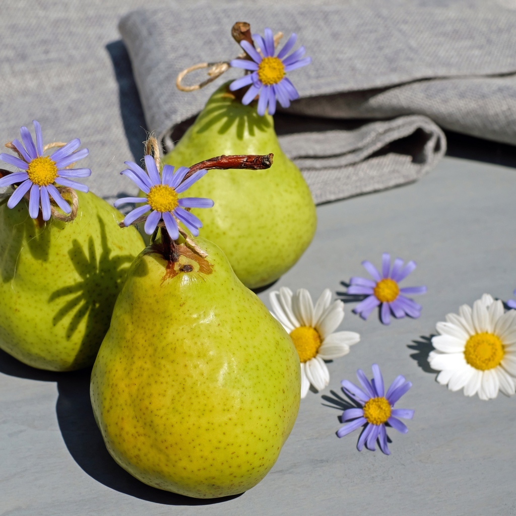 Три зеленые груши с цветами