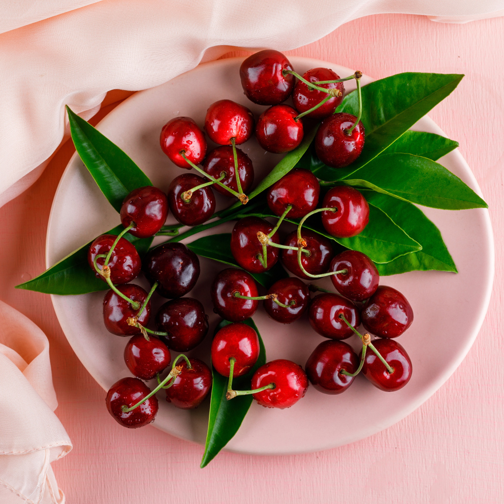 Белая тарелка с красными ягодами черешни на розовом фоне