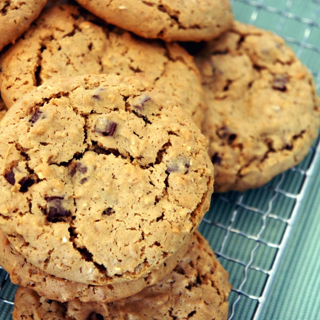 Аппетитное круглое печенье с шоколадом