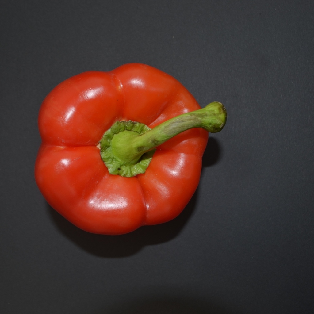 Сладкий красный перец на сером фоне