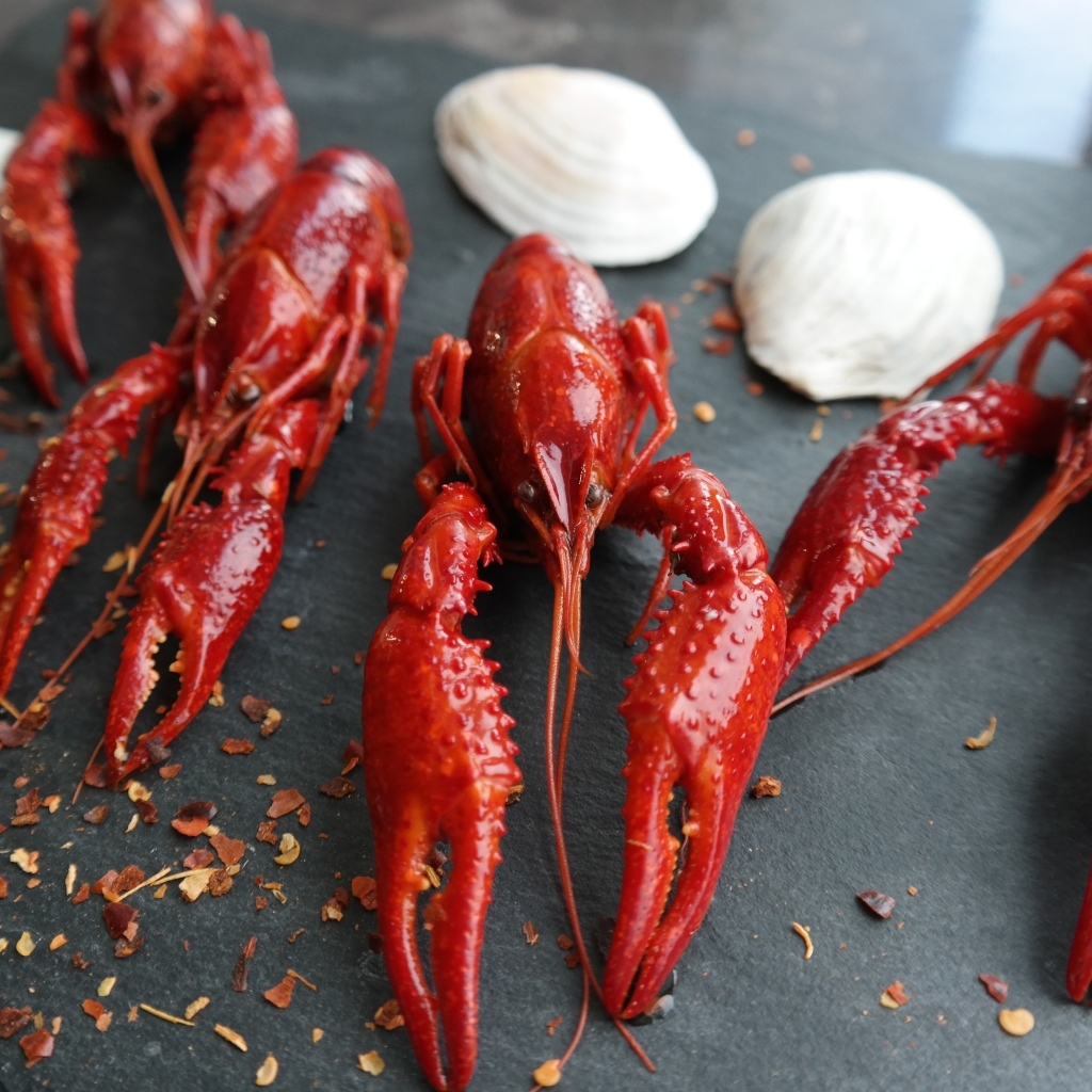 Красные вареные раки с ракушками на столе