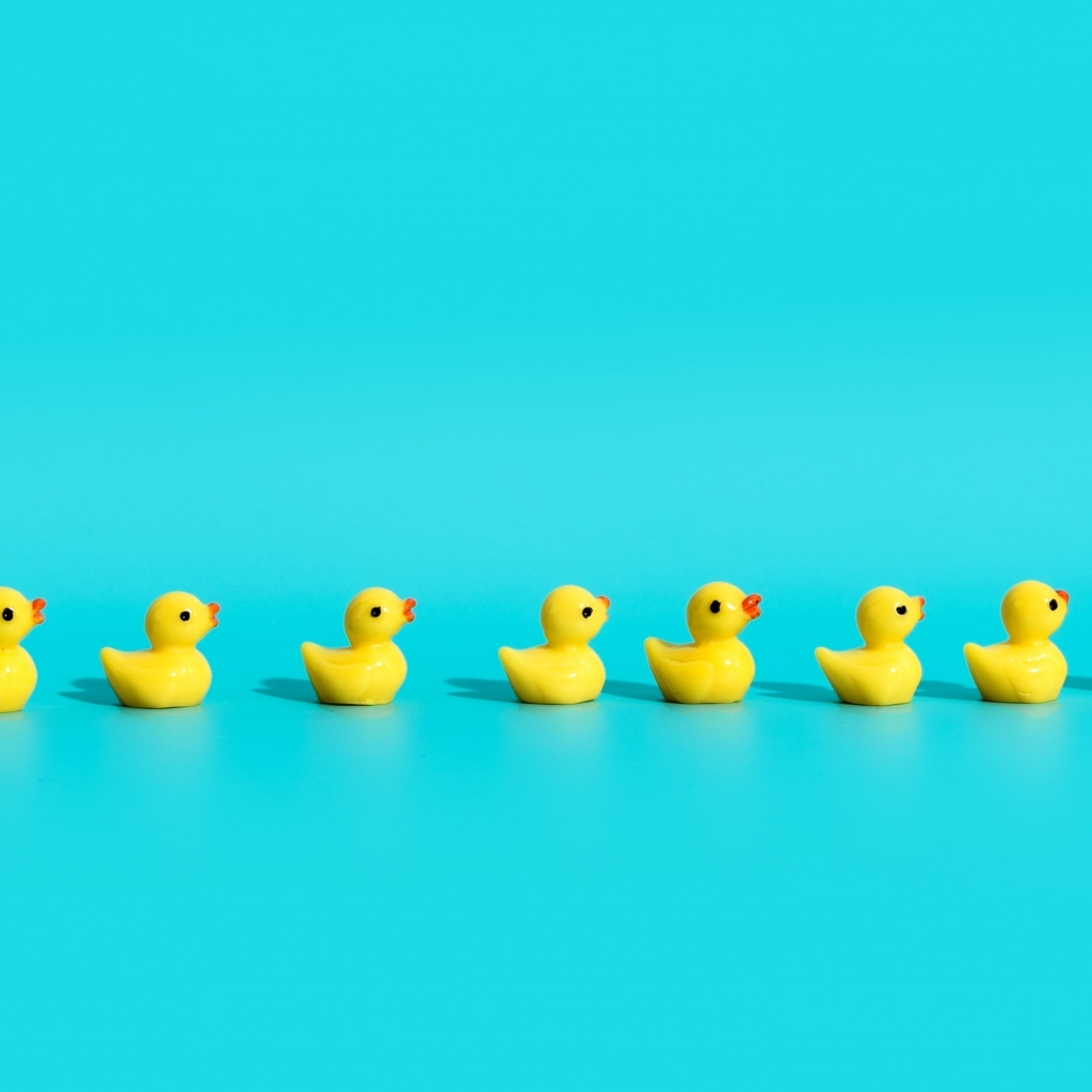 Маленькие игрушечные утята на голубом фоне