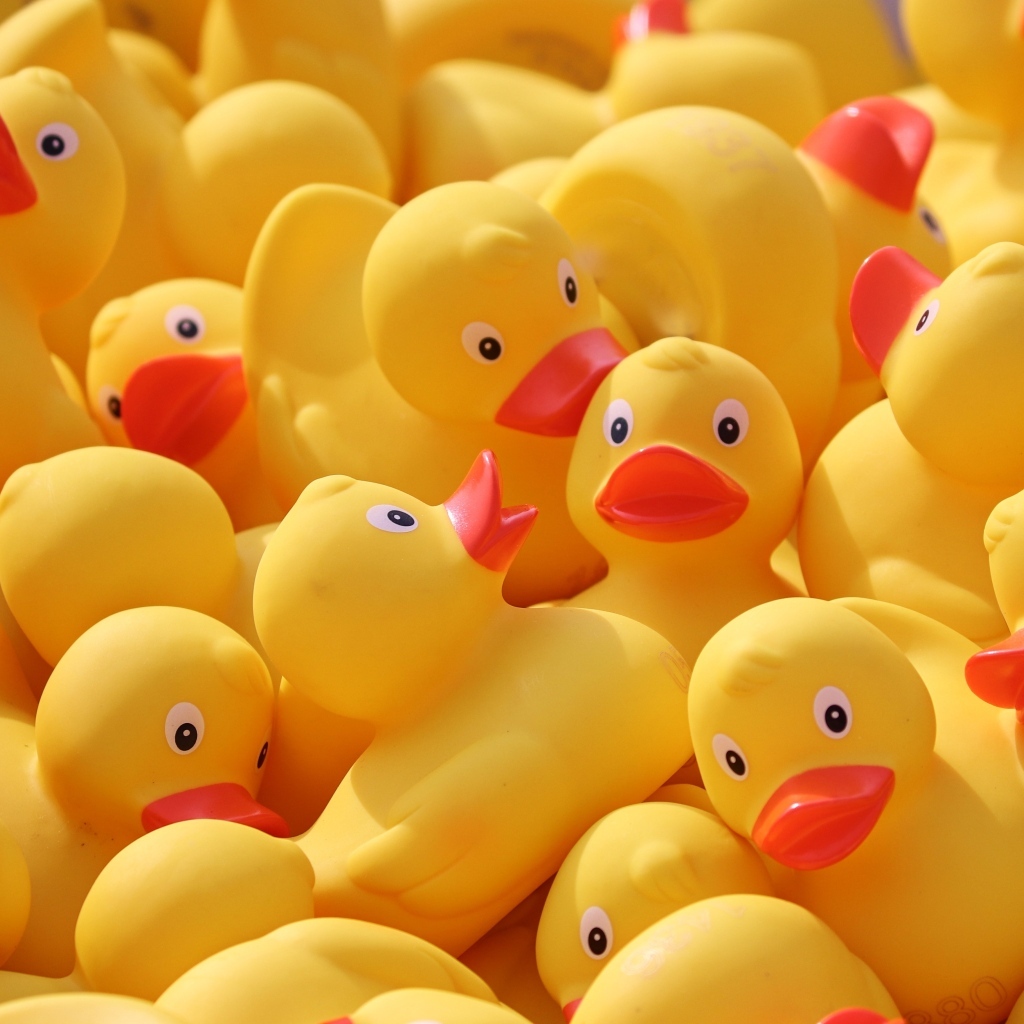 Резиновые желтые уточки 