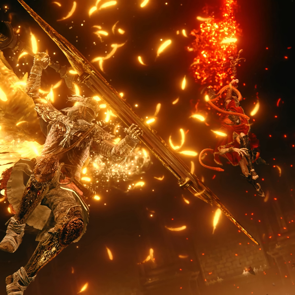 Битва в компьютерной игре Elden Ring: Shadow of the Erdtree