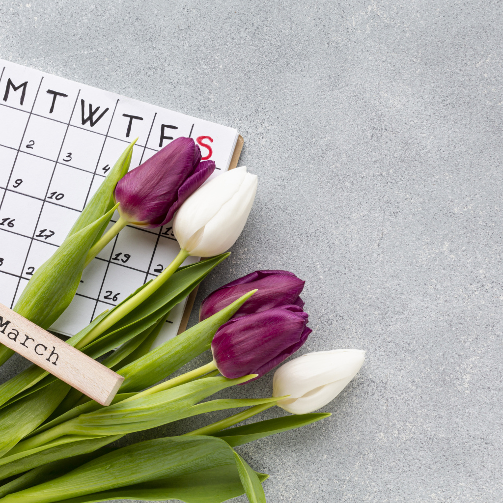 Календарь, красные туфли и букет тюльпанов на 8 марта