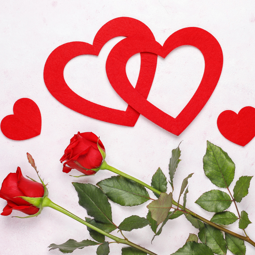 Бумажные сердечки с красными розами на белом фоне