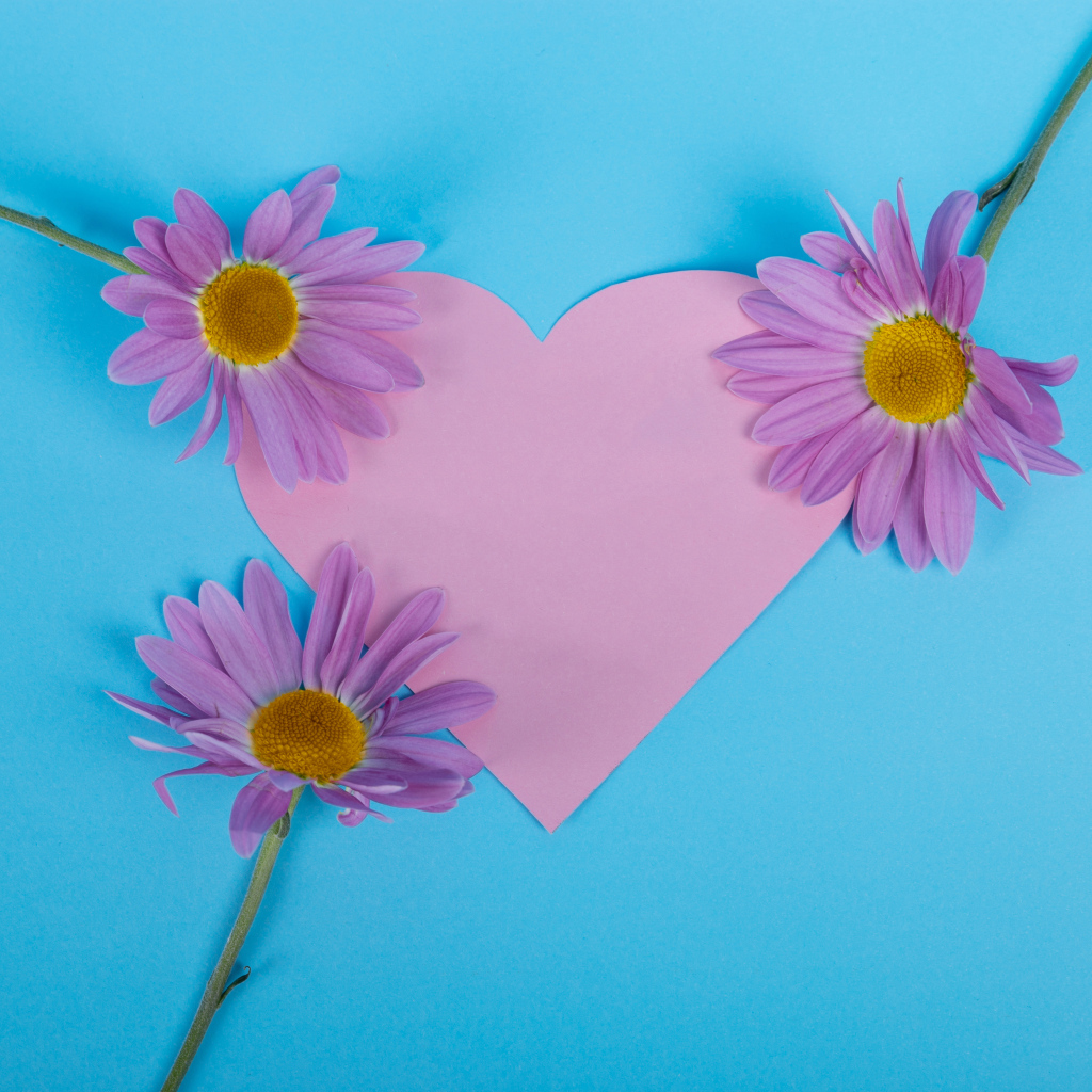 Розовое сердце с цветами на голубом фоне