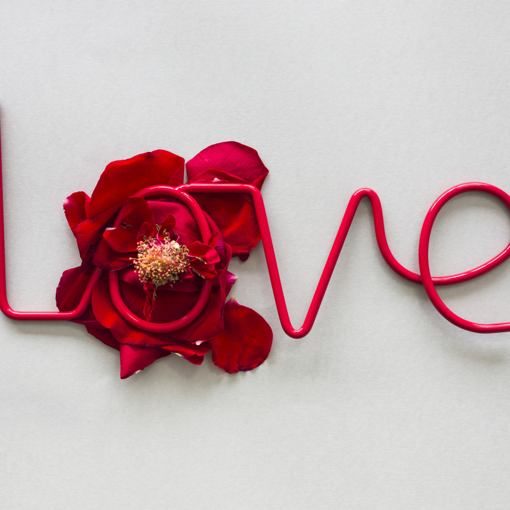 Надпись любовь на сером фоне с цветком 