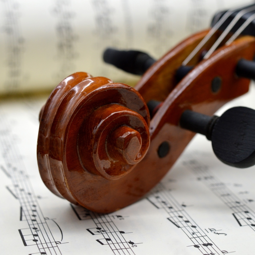 Скрипка с нотами крупным планом