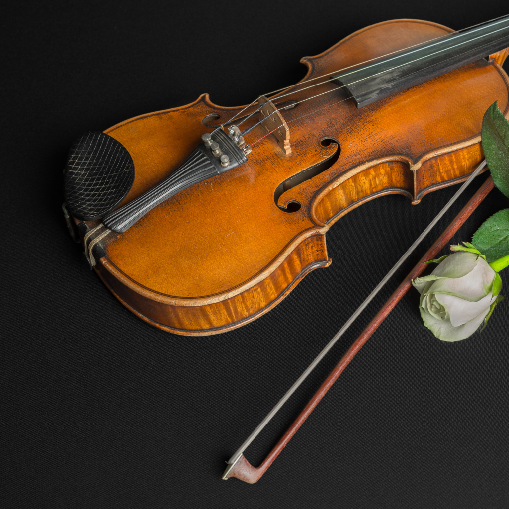 Деревянная скрипка с белой розой на черном столе