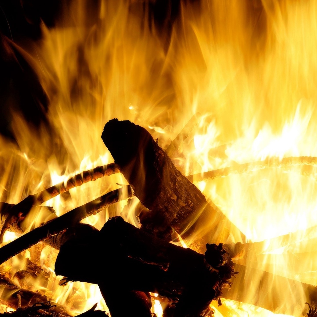 Яркое горячее пламя костра крупным планом