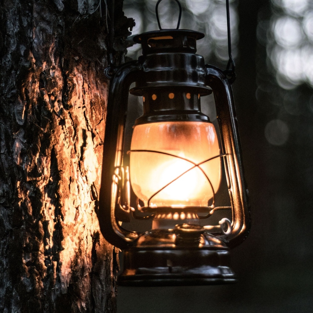 Светящийся фонарь висит на дереве