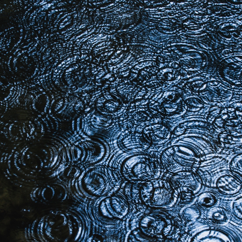 Круги от дождя на воде