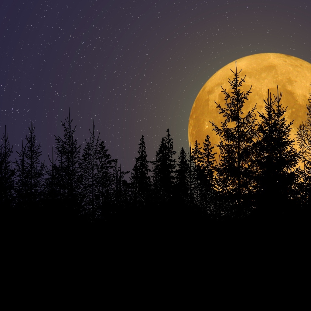 Большая желтая луна прячется за елями