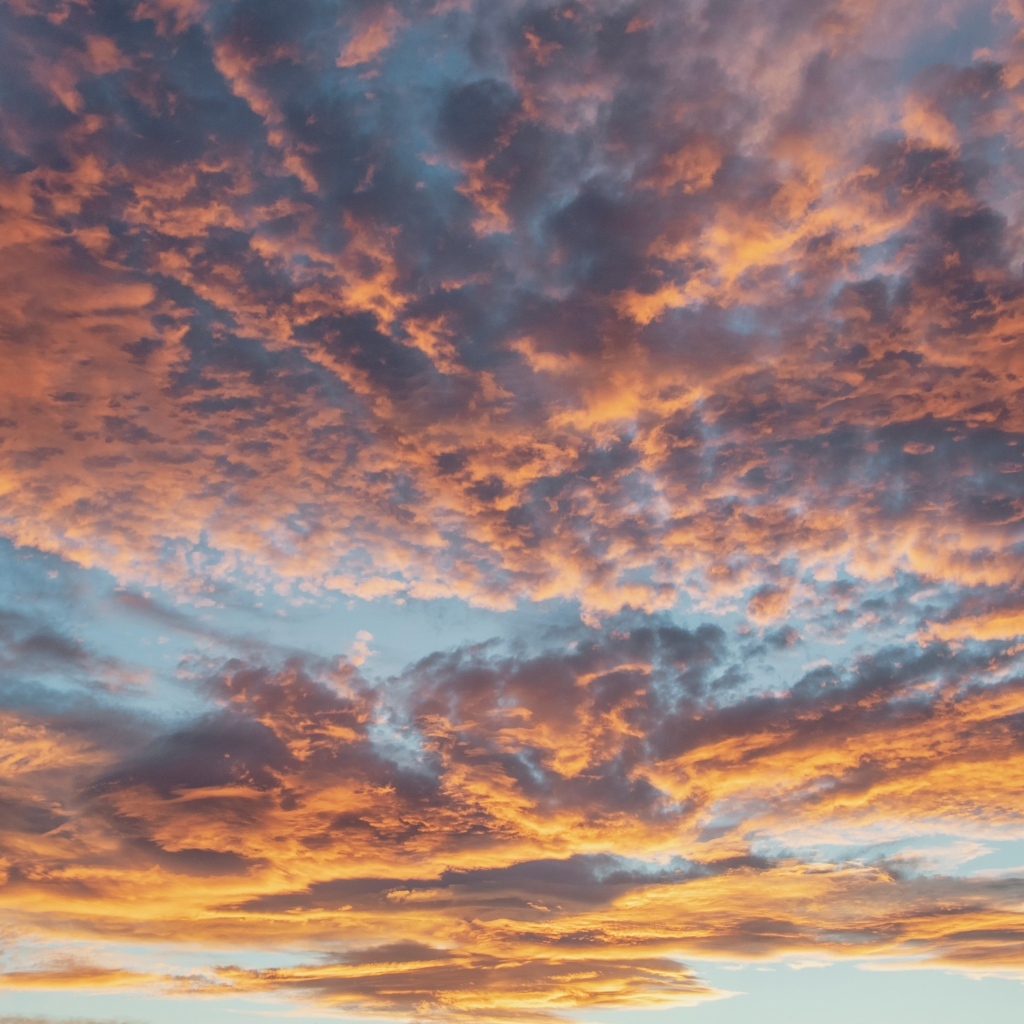 Густые темные облака в небе